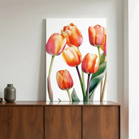 Tulipes